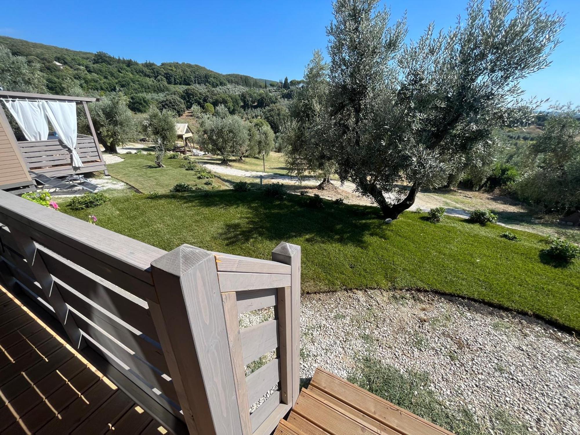 סנטה לוצ'ה Podere Cortesi Agriturismo Molinaccio מראה חיצוני תמונה