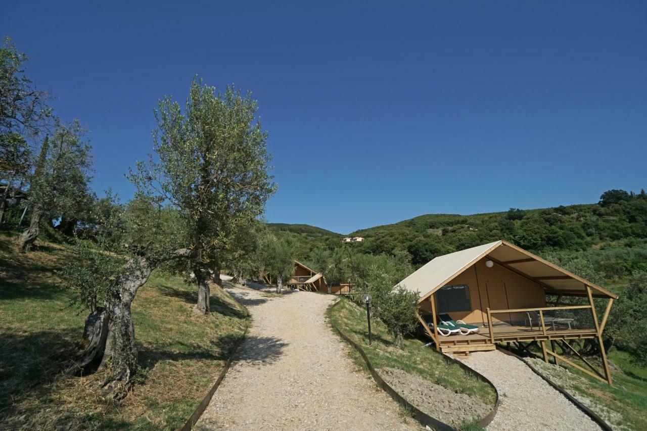 סנטה לוצ'ה Podere Cortesi Agriturismo Molinaccio מראה חיצוני תמונה