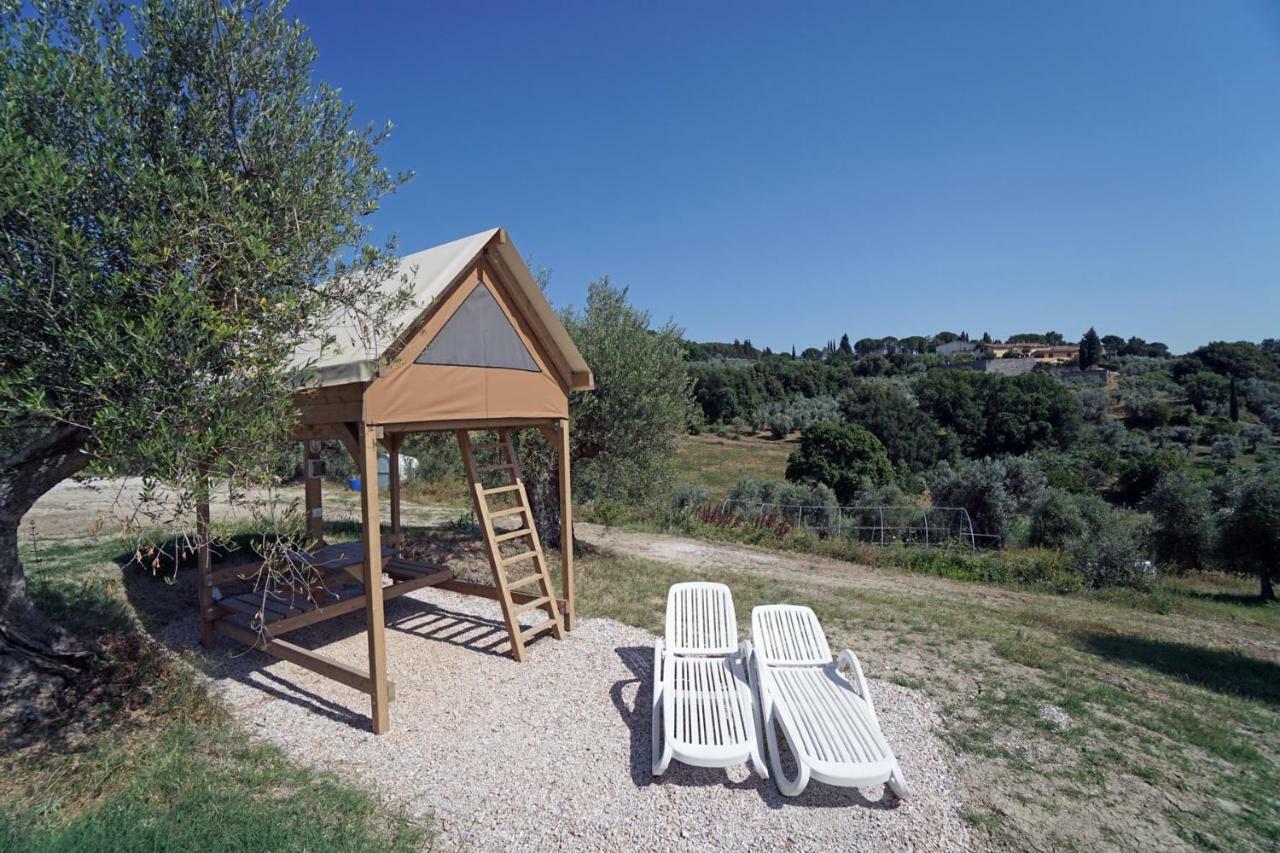 סנטה לוצ'ה Podere Cortesi Agriturismo Molinaccio מראה חיצוני תמונה