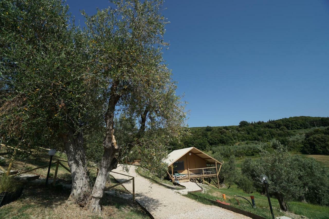 סנטה לוצ'ה Podere Cortesi Agriturismo Molinaccio מראה חיצוני תמונה
